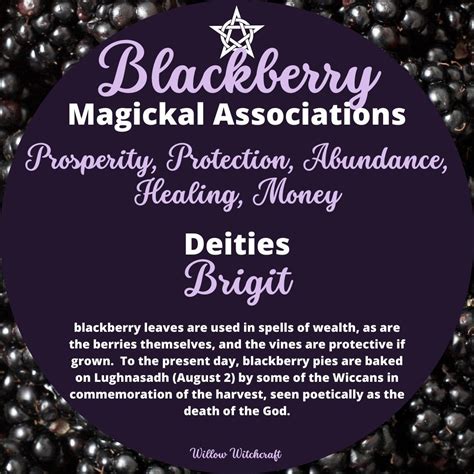 The Role of Blackberries in Ebon Witchcraft Healing Rituals.